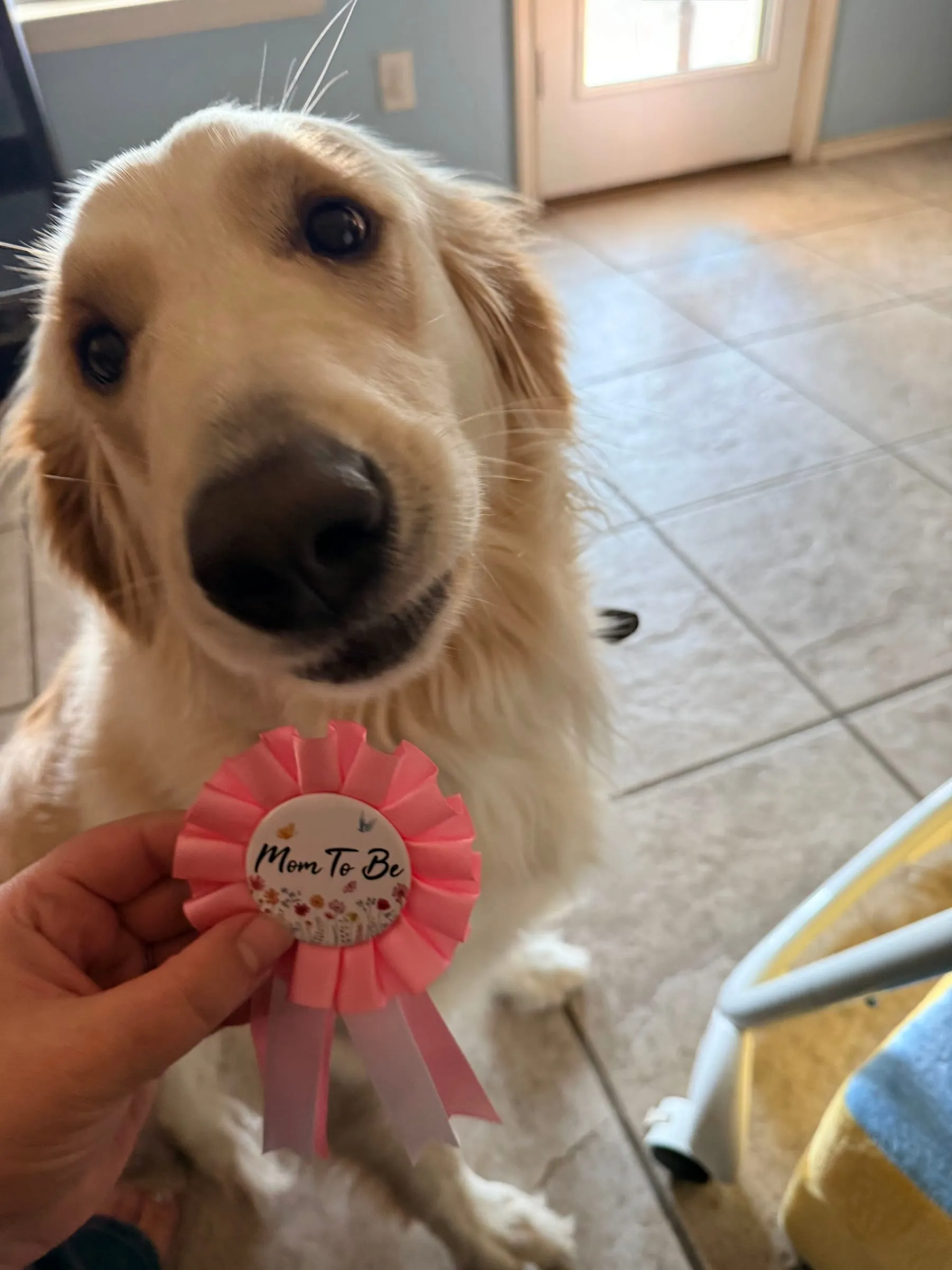 Proud momma