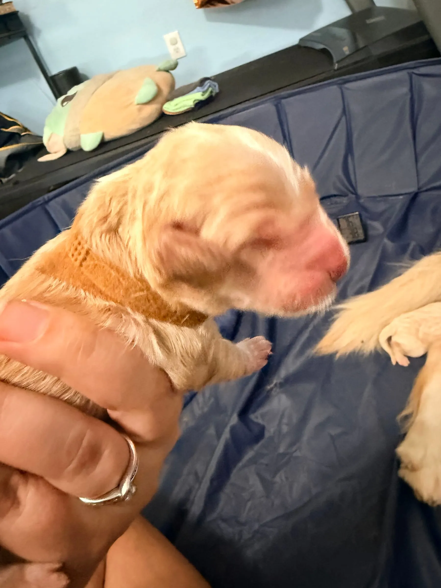 Winnie - Day 1