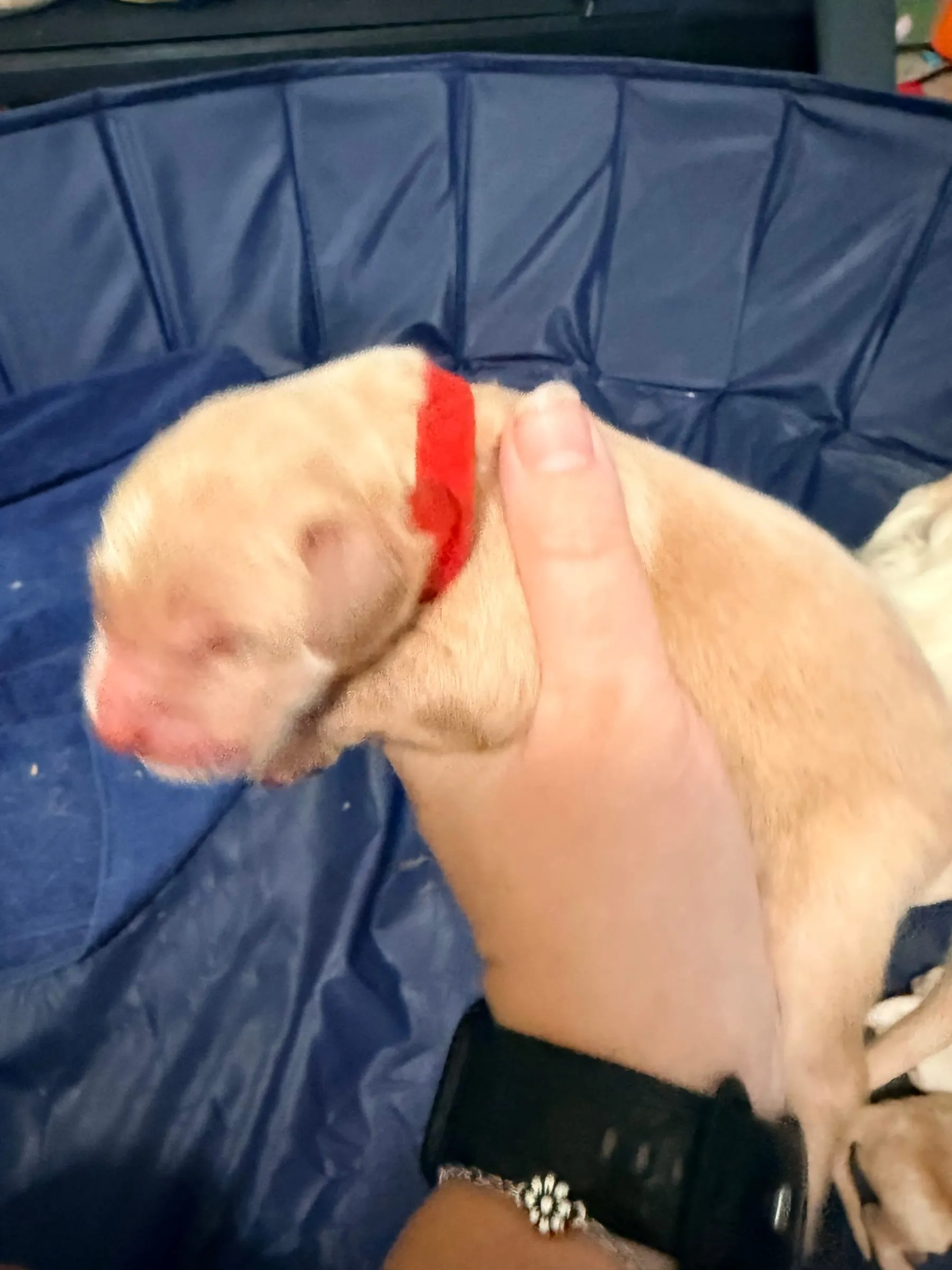 Rusty - Day 1