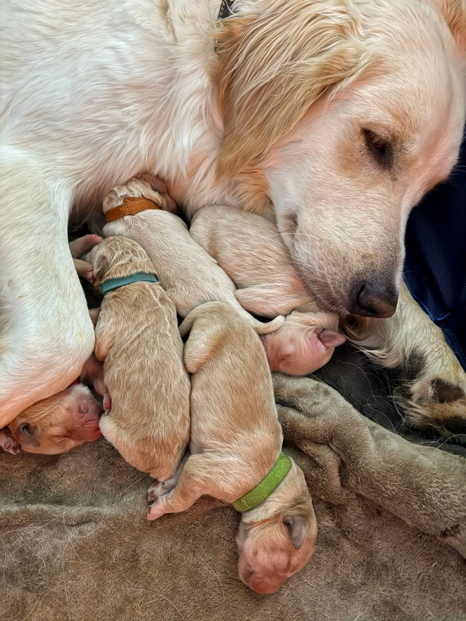 Mama snuggles are the best
