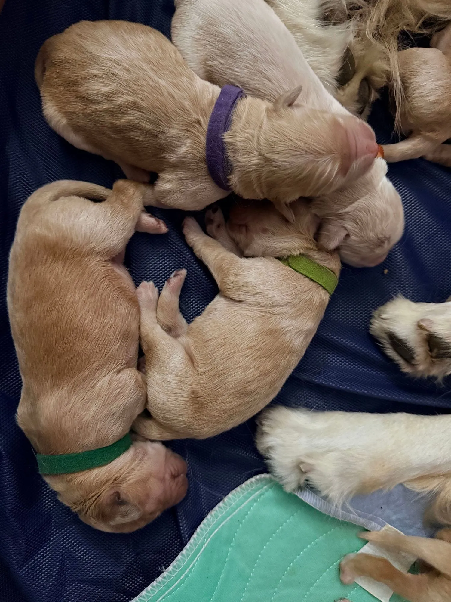 Day 2