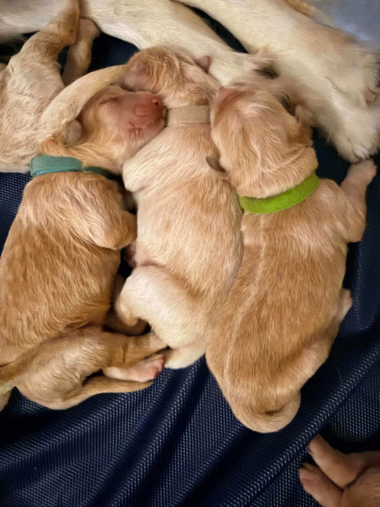 Day 2