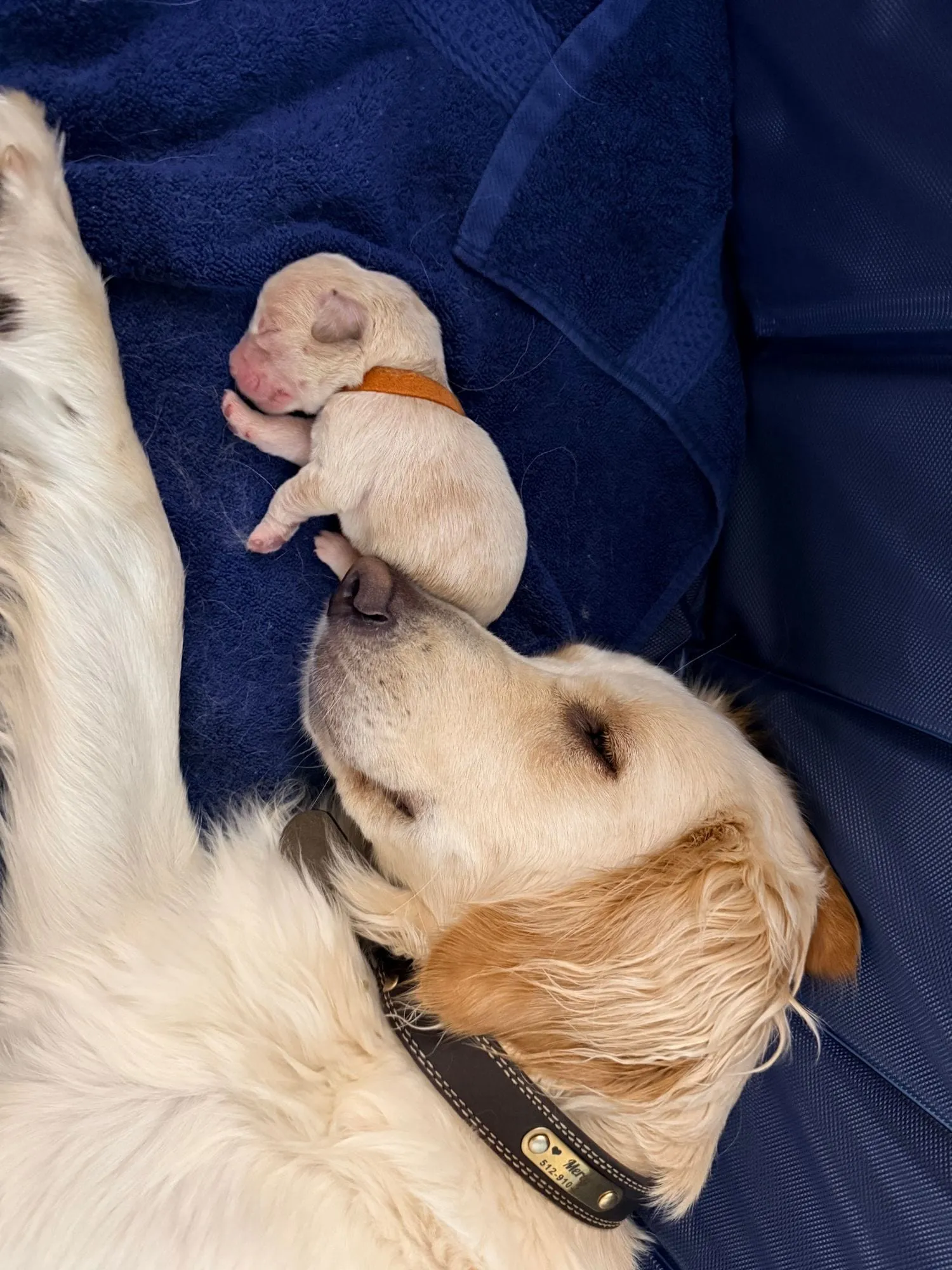 So sweet
